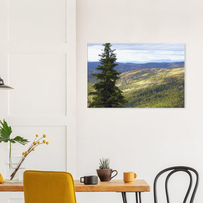 711c8491-8e09-46d4-8d03-3f58d1e0c410