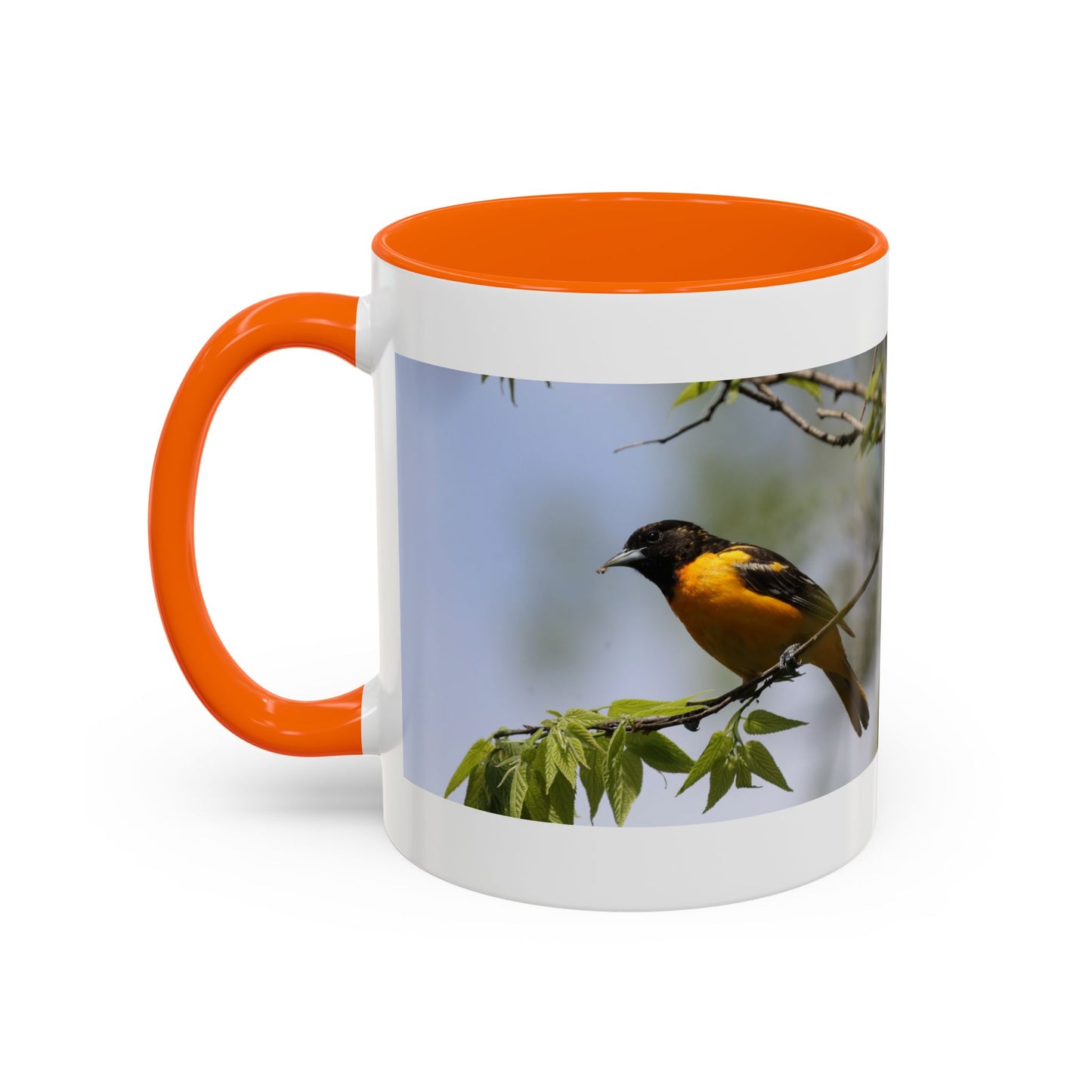 Baltimore Oriole Coffee Mug — Birdwatching Accent Mug (11/15oz)
