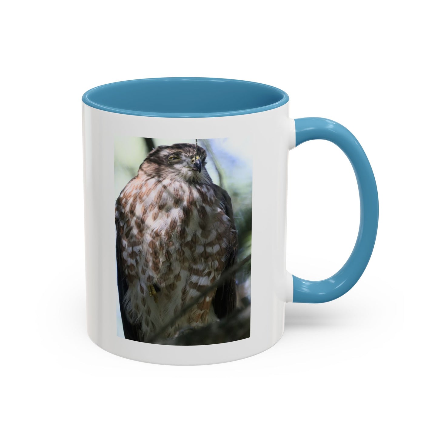 Hawk Photo Accent Coffee Mug — Birdwatcher Gift, 11/15oz
