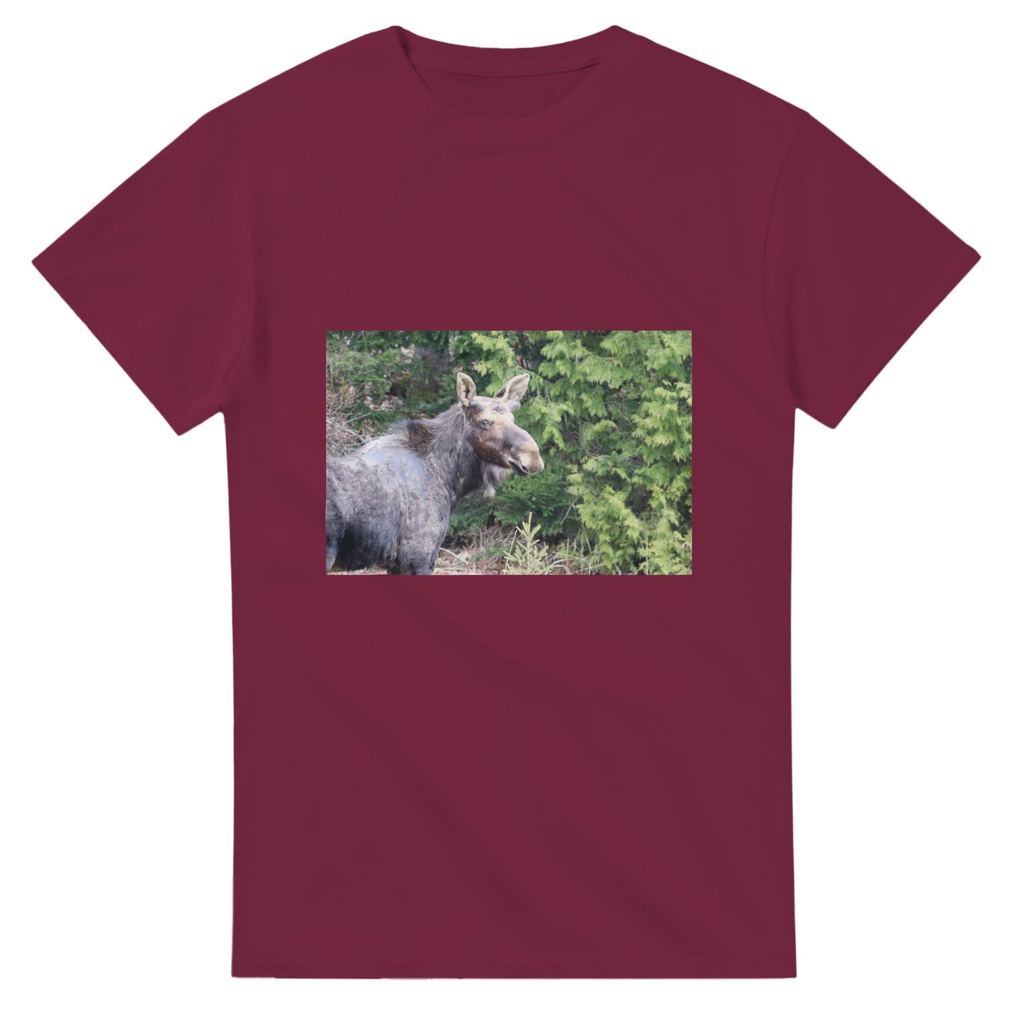 714eee90-c1fd-43bb-a804-442e996994a8