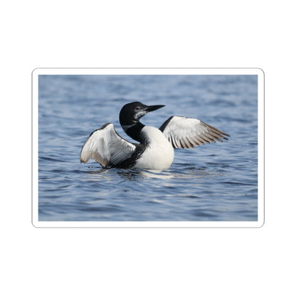 Common Loon Photo Sticker — Waterproof Kiss-Cut Sticker of Loon on Water