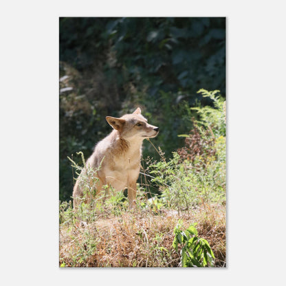 715dab4e-59c1-40c9-8541-dad591793ac7