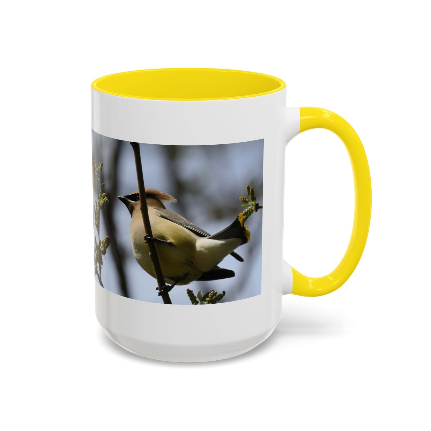 Cedar Waxwing Bird Photo Accent Coffee Mug