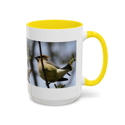 Cedar Waxwing Bird Photo Accent Coffee Mug