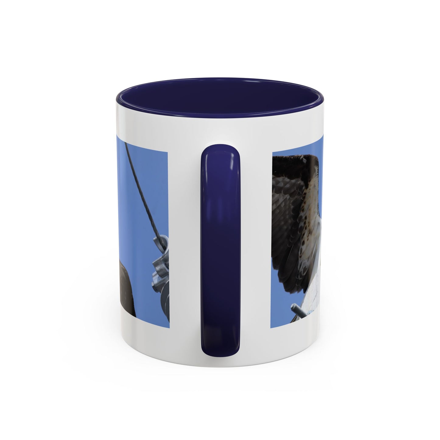 Osprey Photo Accent Coffee Mug – Wildlife Bird Photography Drinkware (11/15 oz)