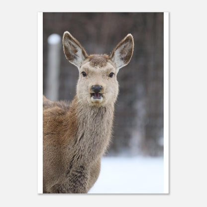 7214872d-6ae0-4db1-afb2-96d24b9c35f7