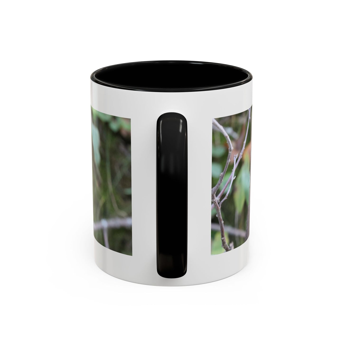 Cute Mink Photo Accent Mug – Wildlife Photography Coffee Cup (11/15 oz)