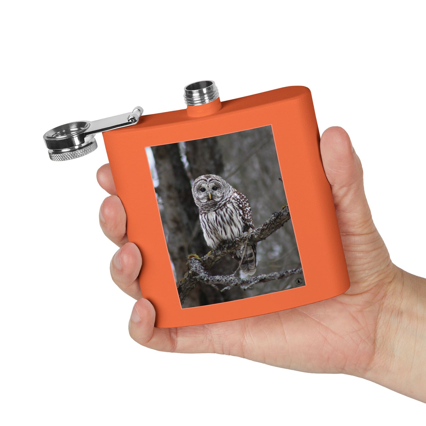 6oz Stainless Flask with Barred Owl Photo – Wildlife Nature Gift