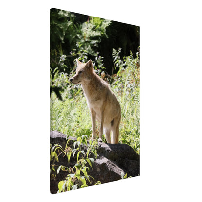 722cc486-fb13-450b-b511-39f489b0c2a0