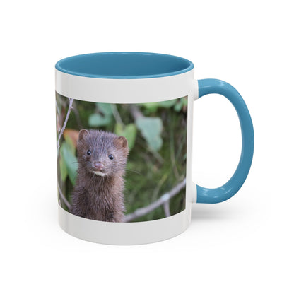 Cute Mink Photo Accent Mug – Wildlife Photography Coffee Cup (11/15 oz)
