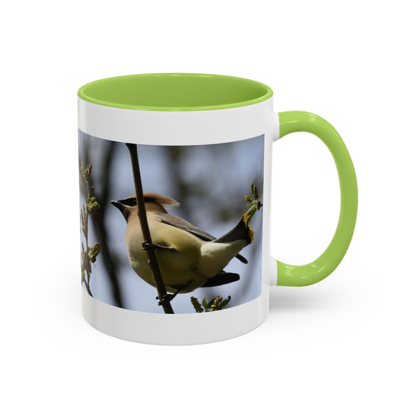 Cedar Waxwing Bird Photo Accent Coffee Mug