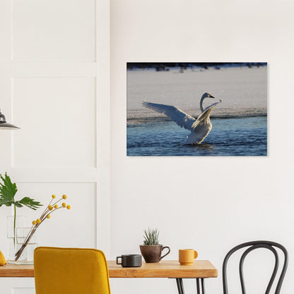 725e51a7-f65e-4e1f-bad7-a1708ca3866b