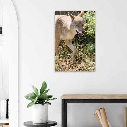 7263e7ed-4921-4c6f-be8a-bcd2f398a9ba