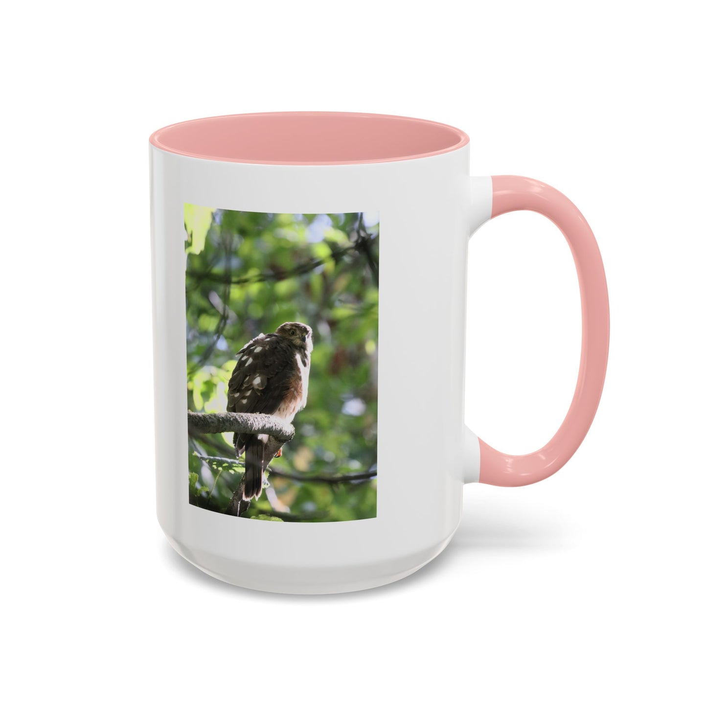 Hawk Perch Accent Coffee Mug (11/15 oz) – Nature Bird Photography