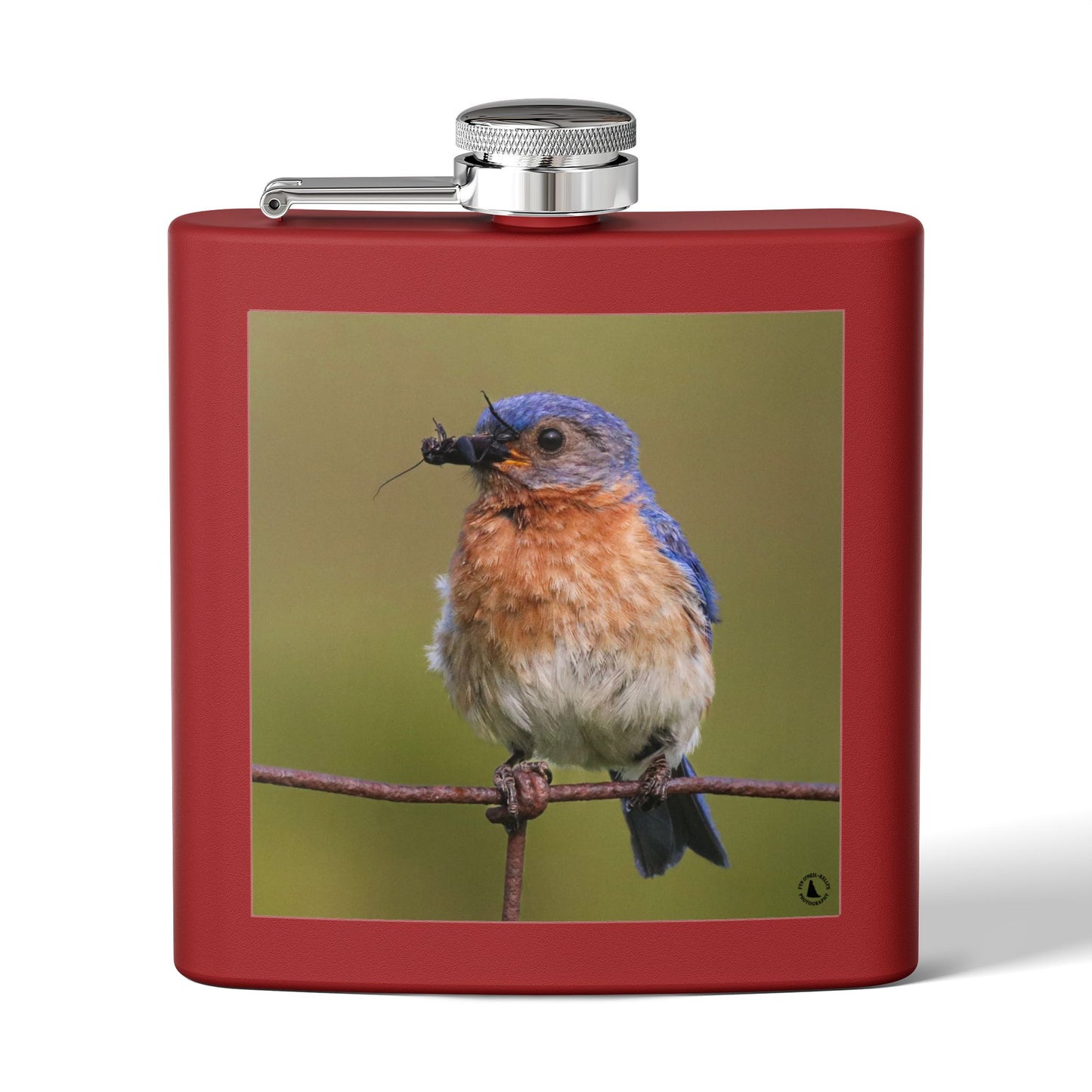 6oz Bluebird Stainless Steel Flask — Nature Photo Pocket Hip Flask