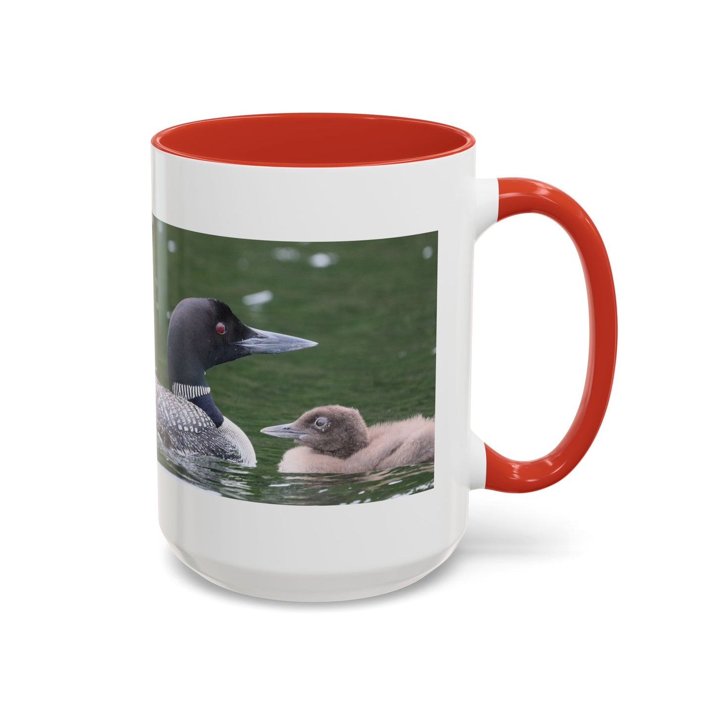 Loon Family Accent Coffee Mug – Wildlife Photo Tea Mug (11/15 oz)