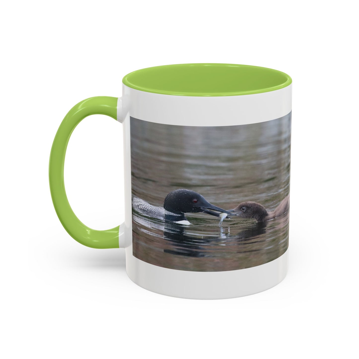 Bufflehead Duck Photo Accent Coffee Mug — Nature Lover Wildlife Gift (11/15oz)
