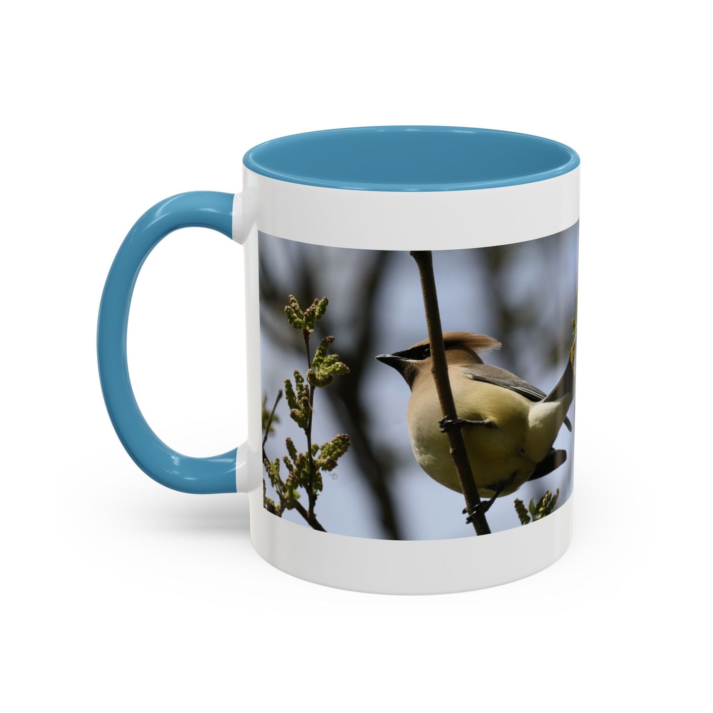 Cedar Waxwing Bird Photo Accent Coffee Mug