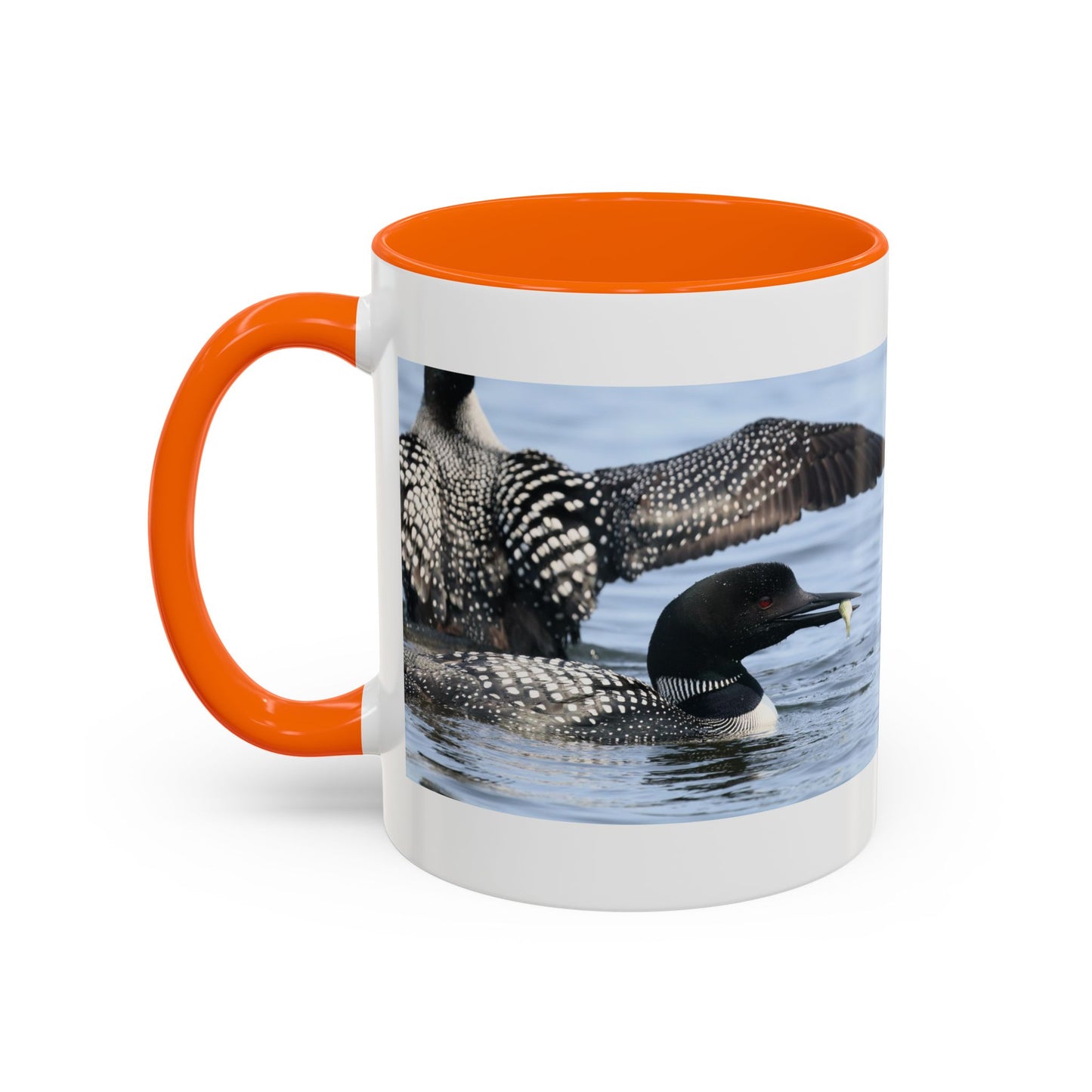 Common Loon Accent Coffee Mug – Wildlife Photography Bird Lover Gift (11/15oz)