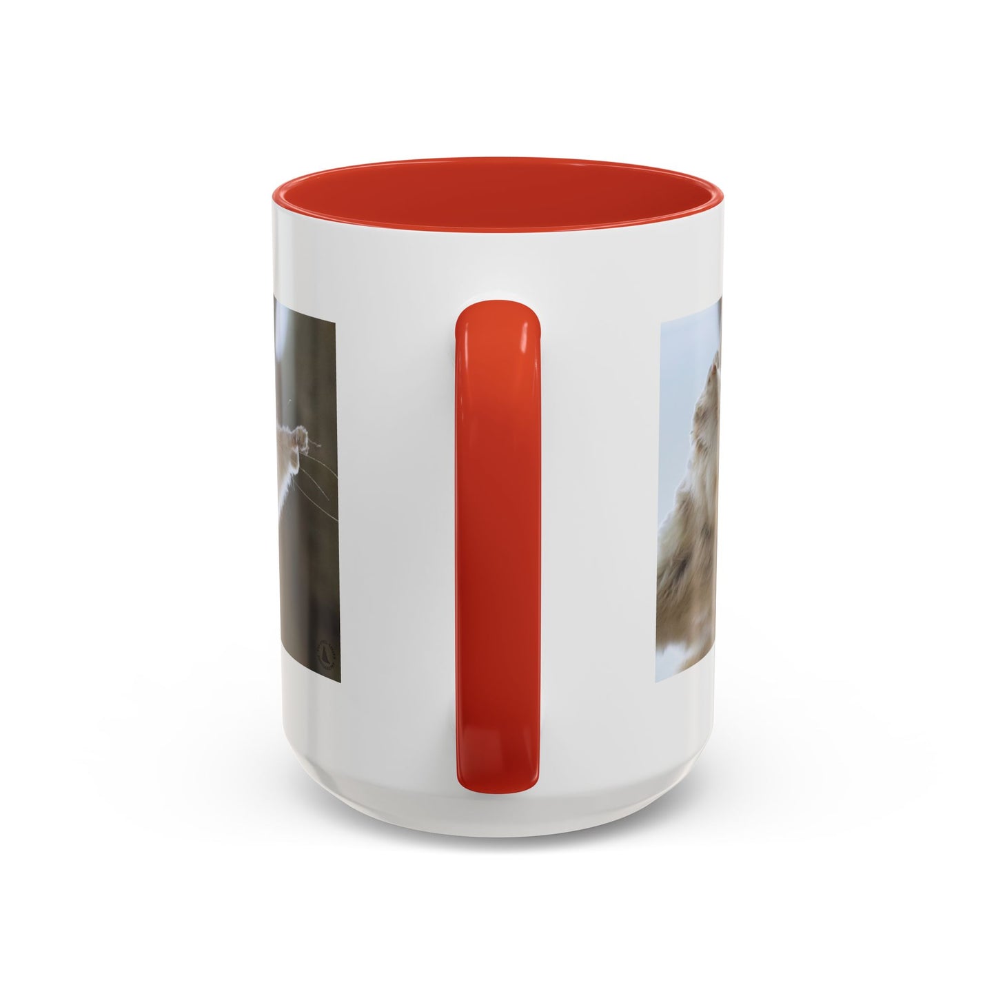 Flying Squirrel Accent Coffee Mug — Cute Wildlife Photo Mug (11/15oz)