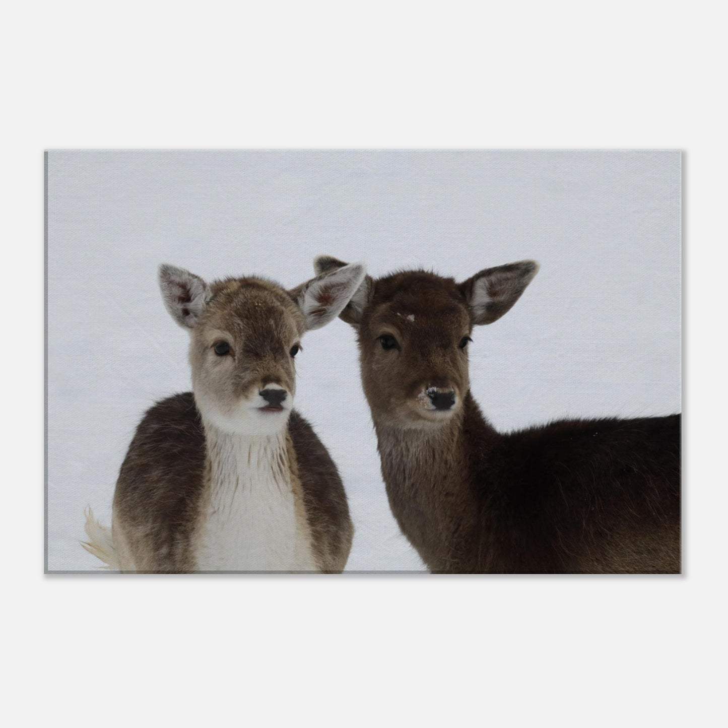 73c407dc-6f68-45d2-a33a-2882e16f46f2