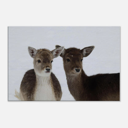 73c407dc-6f68-45d2-a33a-2882e16f46f2