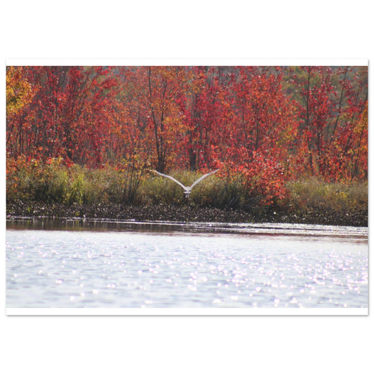 7418bcbf-c909-4d18-bfc6-b6ec7ca1038f