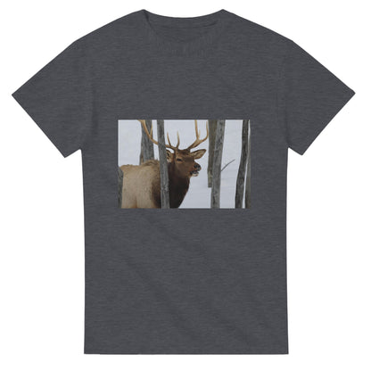 741a85c9-5813-48ed-afe6-7e3647aedbe7