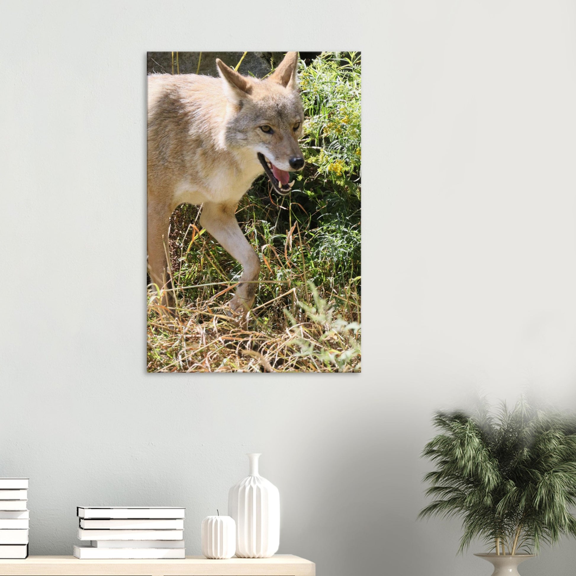 74498c36-f96c-4156-8e1d-6533d1a56637