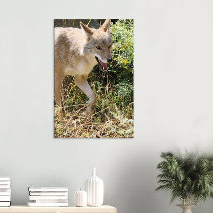 74498c36-f96c-4156-8e1d-6533d1a56637