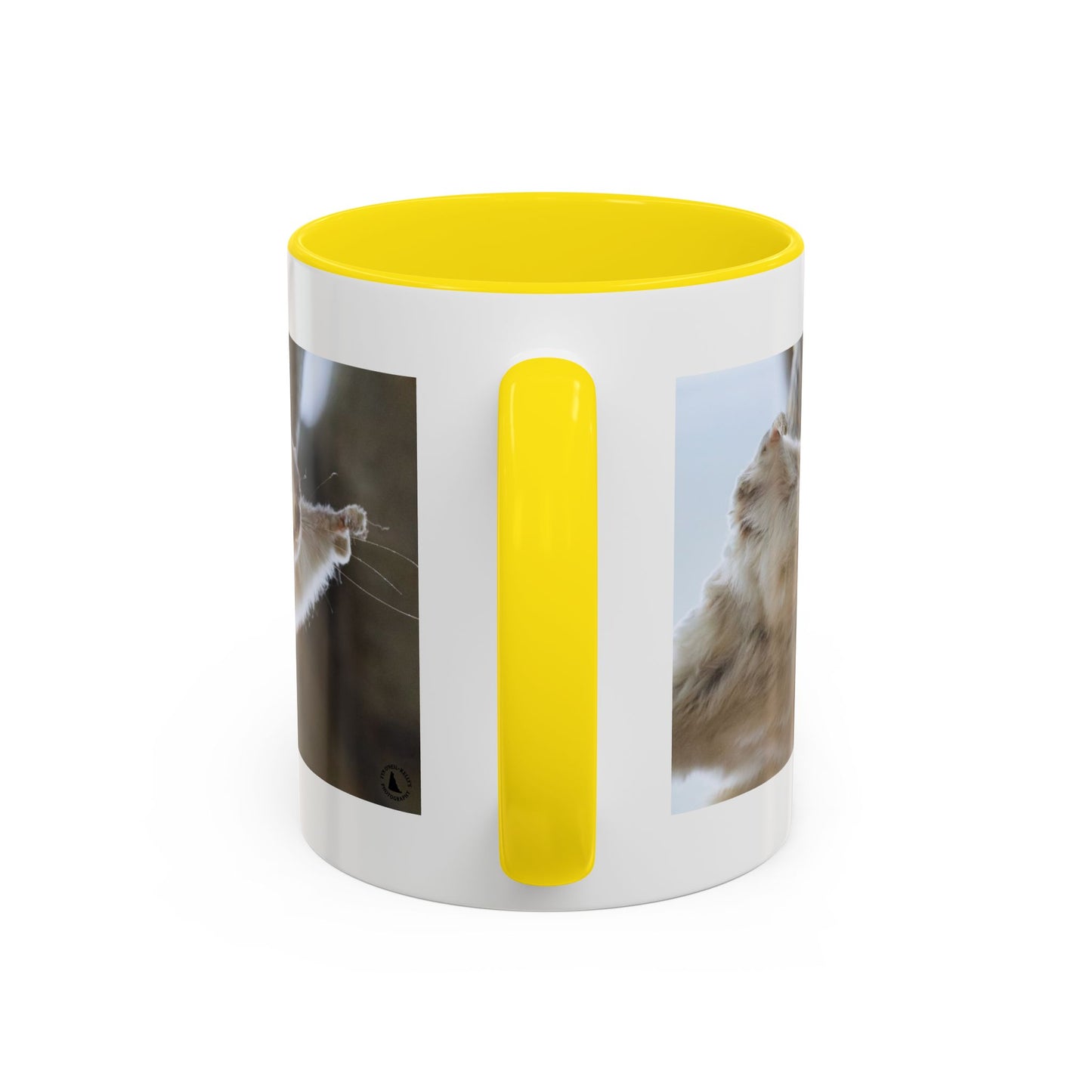 Flying Squirrel Accent Coffee Mug — Cute Wildlife Photo Mug (11/15oz)
