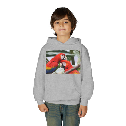 Youth Parrot Hoodie – Colorful Scarlet Macaw Kids Pullover