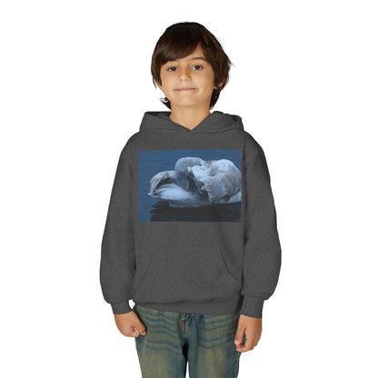 Youth Hoodie with Sleeping Swan Photo — Cozy Wildlife Sweatshirt