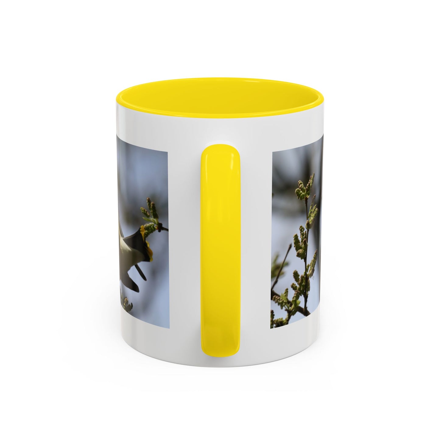 Cedar Waxwing Bird Photo Accent Coffee Mug