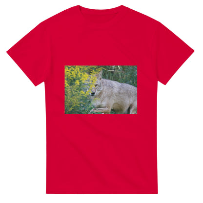 755232e7-1121-4809-85ff-7ecfaf640416