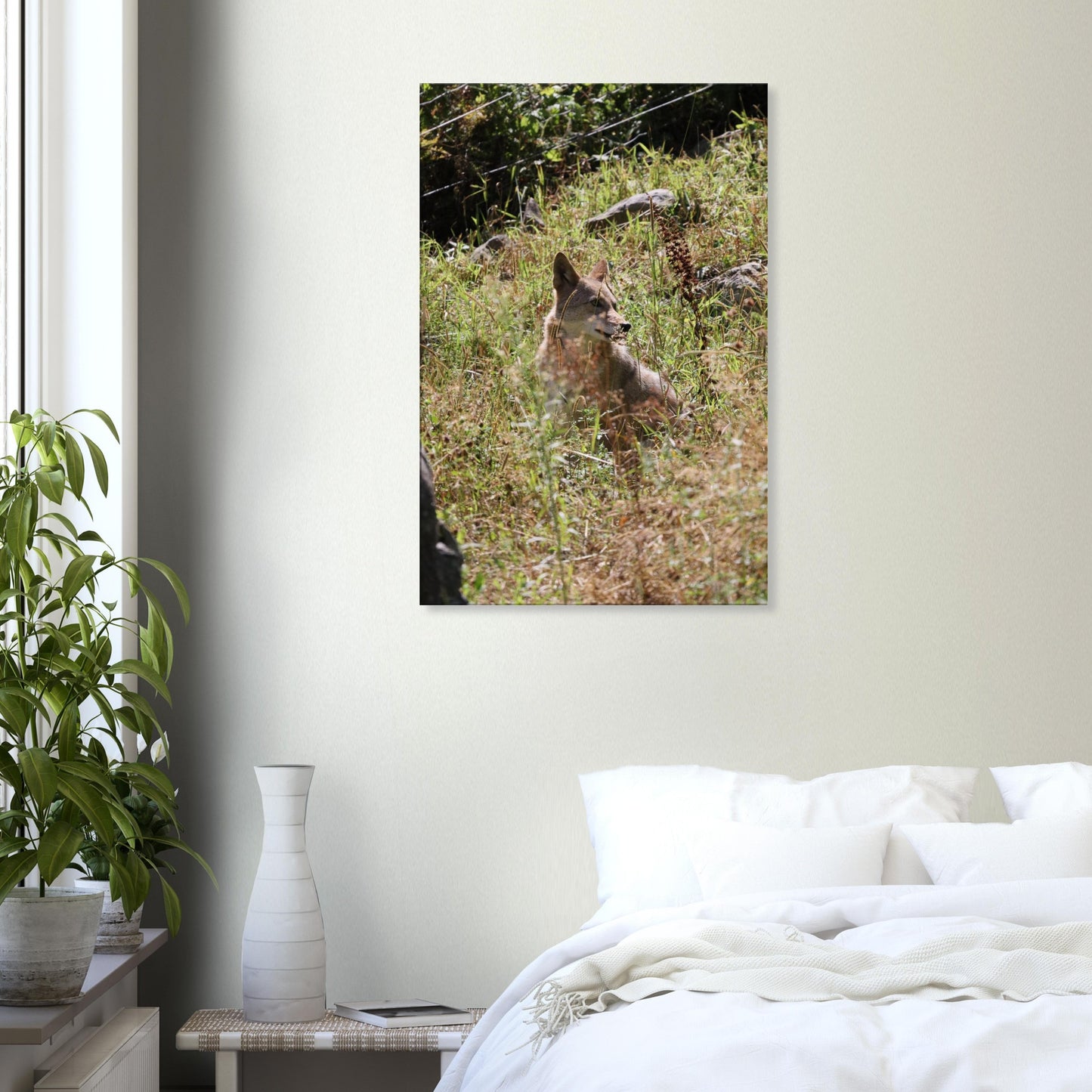 75686416-4963-41a5-988d-a76d95849932