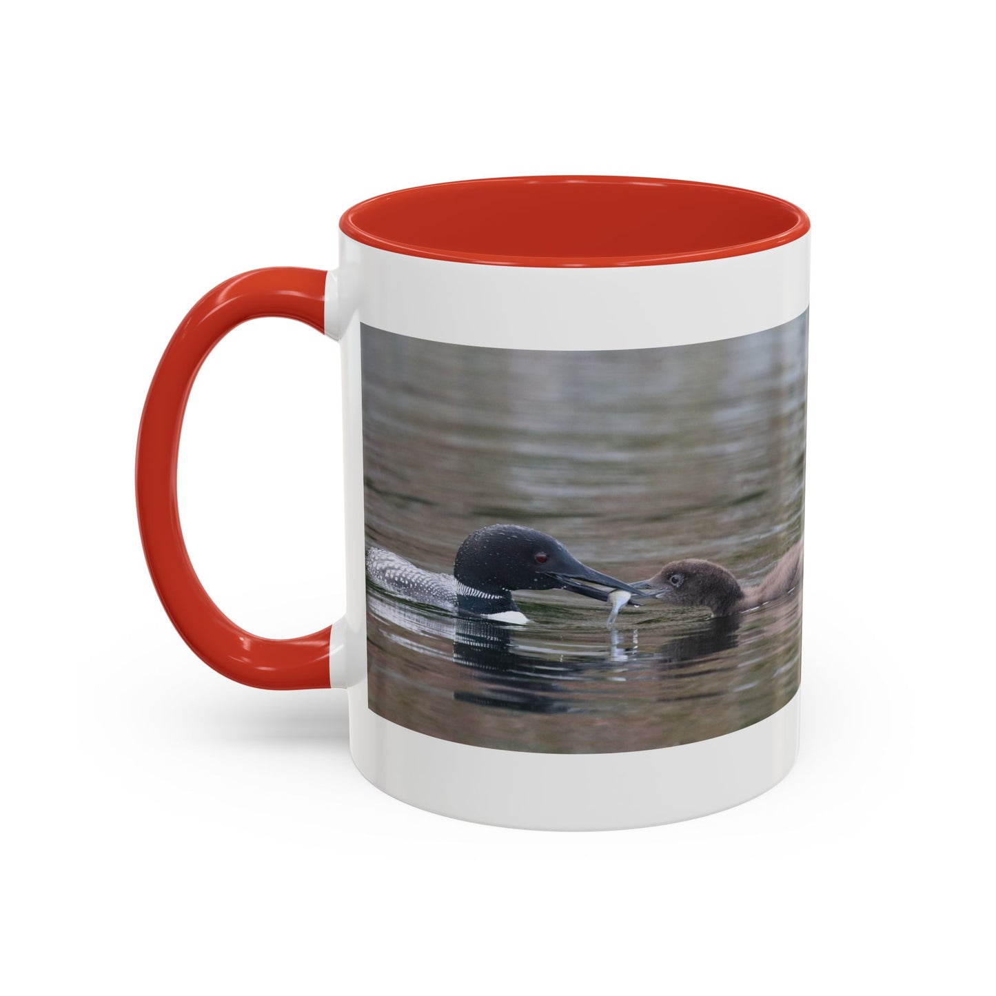 Bufflehead Duck Photo Accent Coffee Mug — Nature Lover Wildlife Gift (11/15oz)