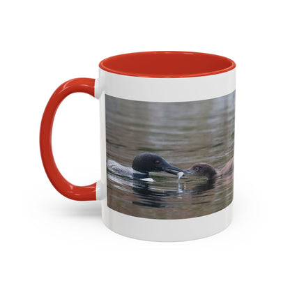 Bufflehead Duck Photo Accent Coffee Mug — Nature Lover Wildlife Gift (11/15oz)