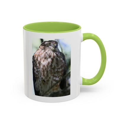 Hawk Photo Accent Coffee Mug — Birdwatcher Gift, 11/15oz
