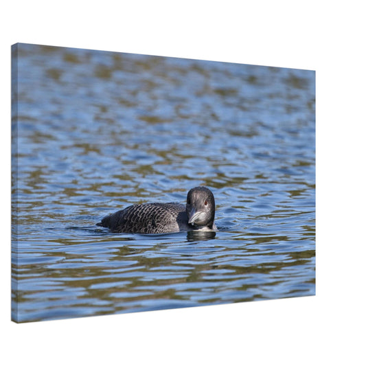 75e783b9-9644-421a-b39e-0235f75f4372