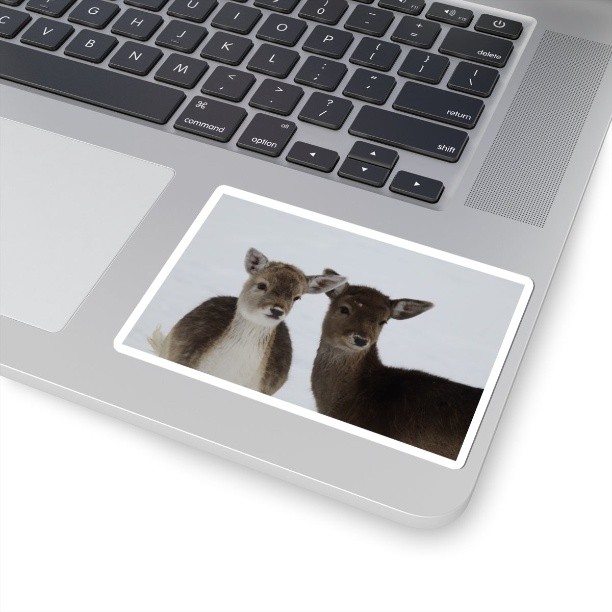 Fawn Pair Sticker — Cute Deer Kiss-Cut Vinyl Decal for Laptops & Water Bottles