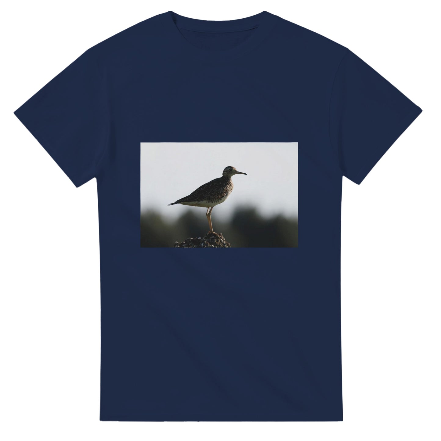 76091a86-f27b-4f2c-abea-31434a51e16f