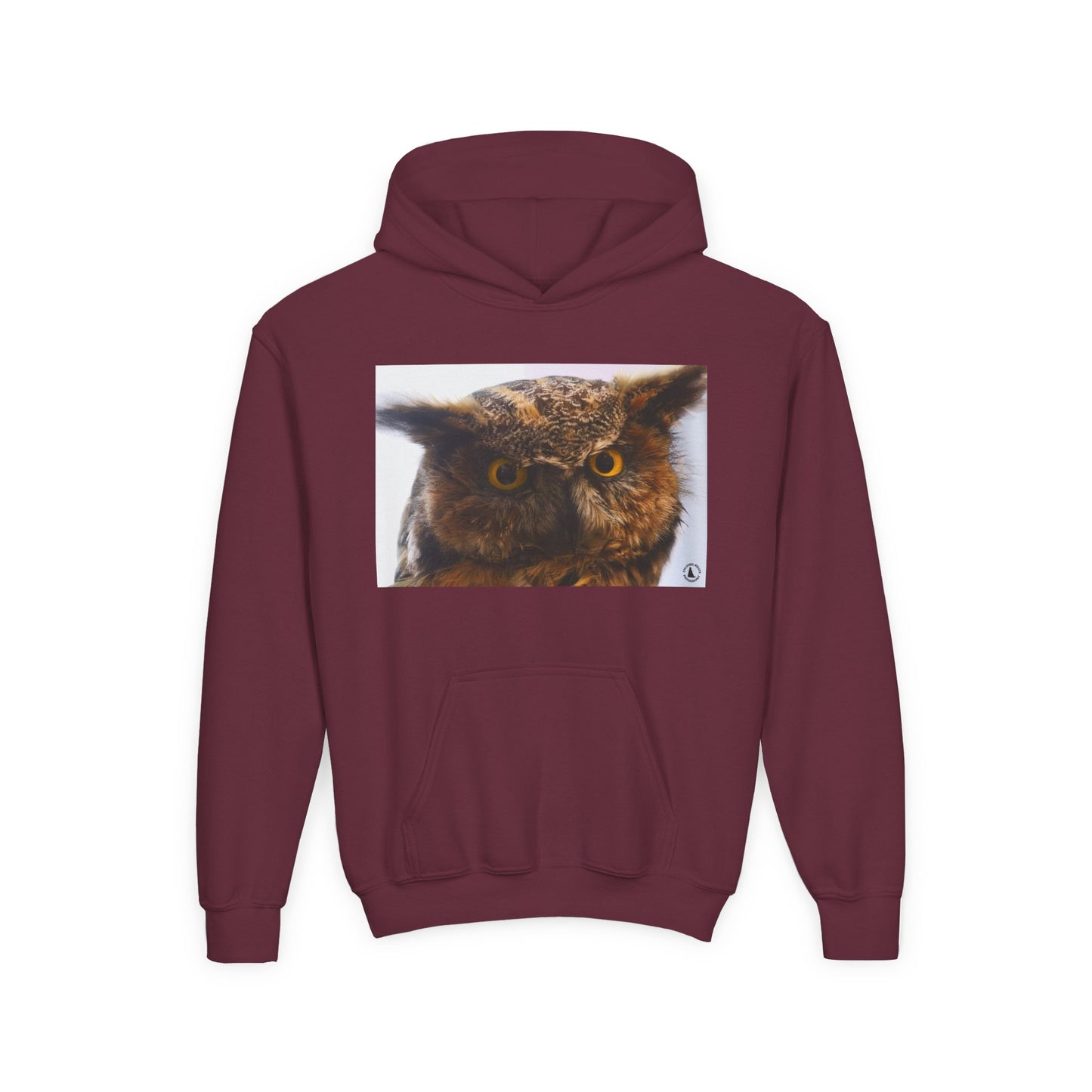 Youth Hoodie with Realistic Owl Art — Cute Kids Animal Pullover