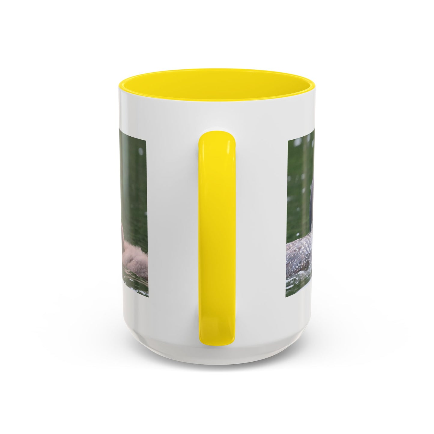 Loon Family Accent Coffee Mug – Wildlife Photo Tea Mug (11/15 oz)