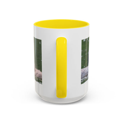 Loon Family Accent Coffee Mug – Wildlife Photo Tea Mug (11/15 oz)