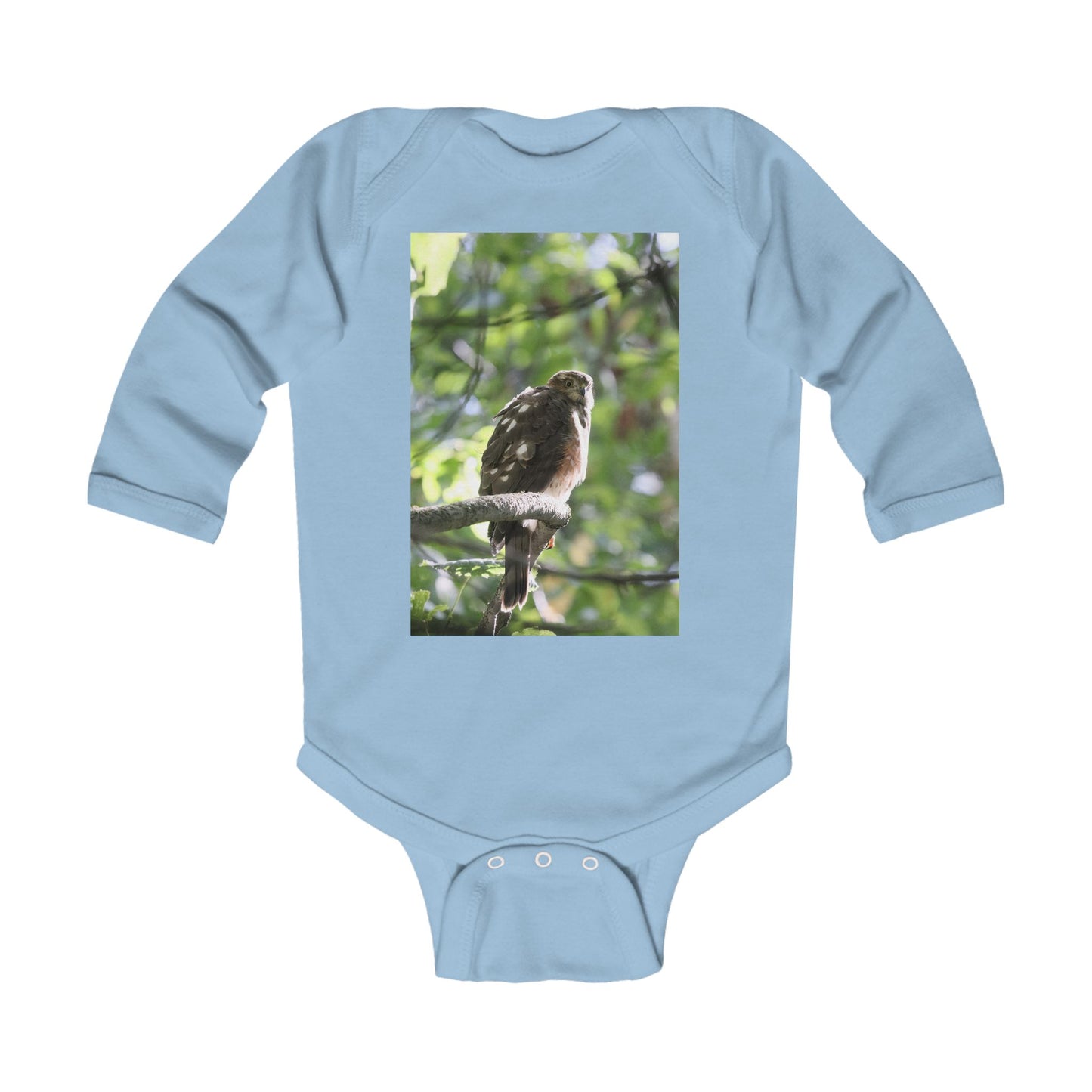 Baby Bodysuit with Perched Hawk Photo - Nature Infant Long Sleeve Onesie