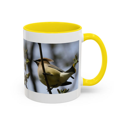 Cedar Waxwing Bird Photo Accent Coffee Mug