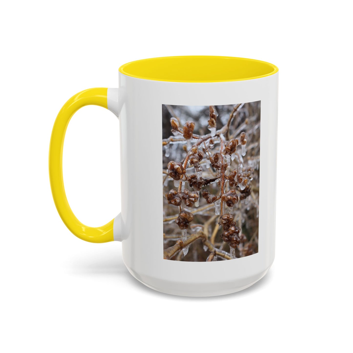 Ice-Coated Berries Accent Coffee Mug (11/15 oz) — Winter Nature Photo
