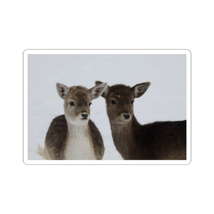 Fawn Pair Sticker — Cute Deer Kiss-Cut Vinyl Decal for Laptops & Water Bottles