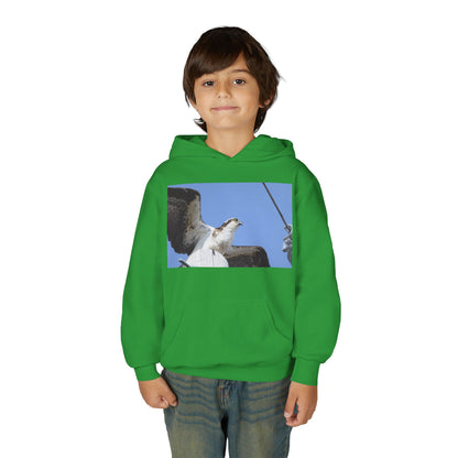 Youth Osprey Photo Hoodie — Kids Birdwatching Nature Pullover